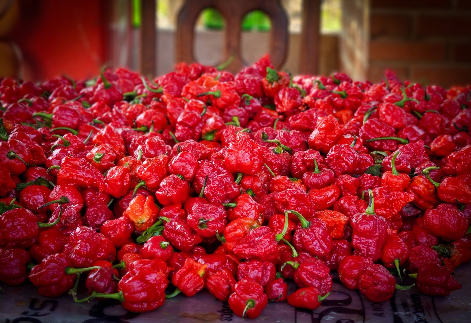 Sítio Mirante da Ilha